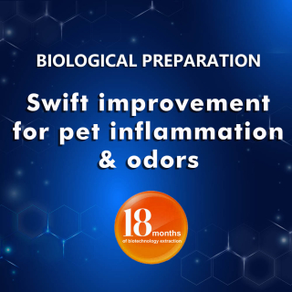 Biological Preparation for Swift improvement for pet inflammation and odors