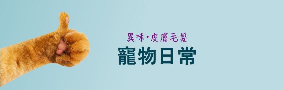 寵物滅菌除臭系列用家心聲,AQ Bio消毒殺菌噴霧、殺菌達99.9999%, 對抗濕疹,暗瘡,皮膚敏感,念珠菌,鼻敏感,喉嚨痛, 助皮膚修護細胞, 產生抗菌能